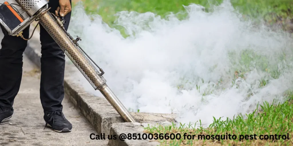 Innovative Mosquito Control Methods