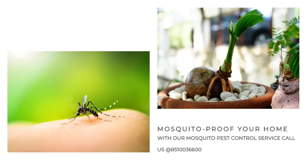 Mosquito-Proof Your Home