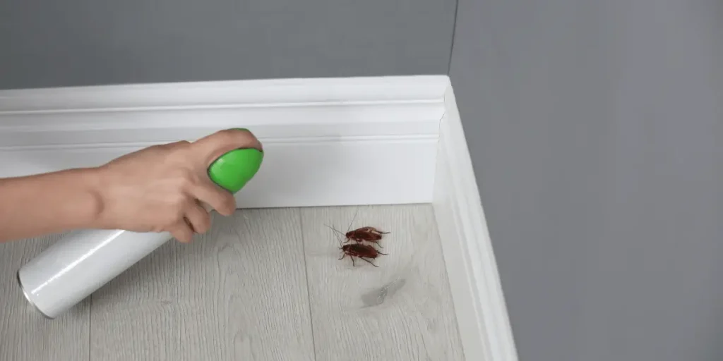 Chemical Cockroach Control Methods