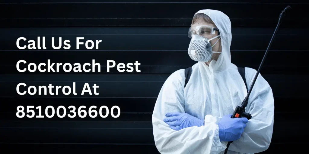 Professional Pest Control Services